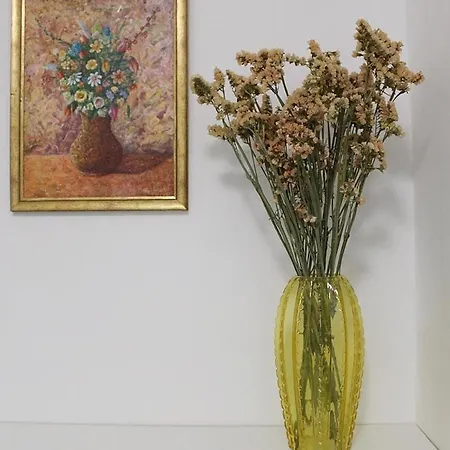 Apartman Capljina Capljina